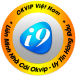okvipi9 logo 12/07/2025